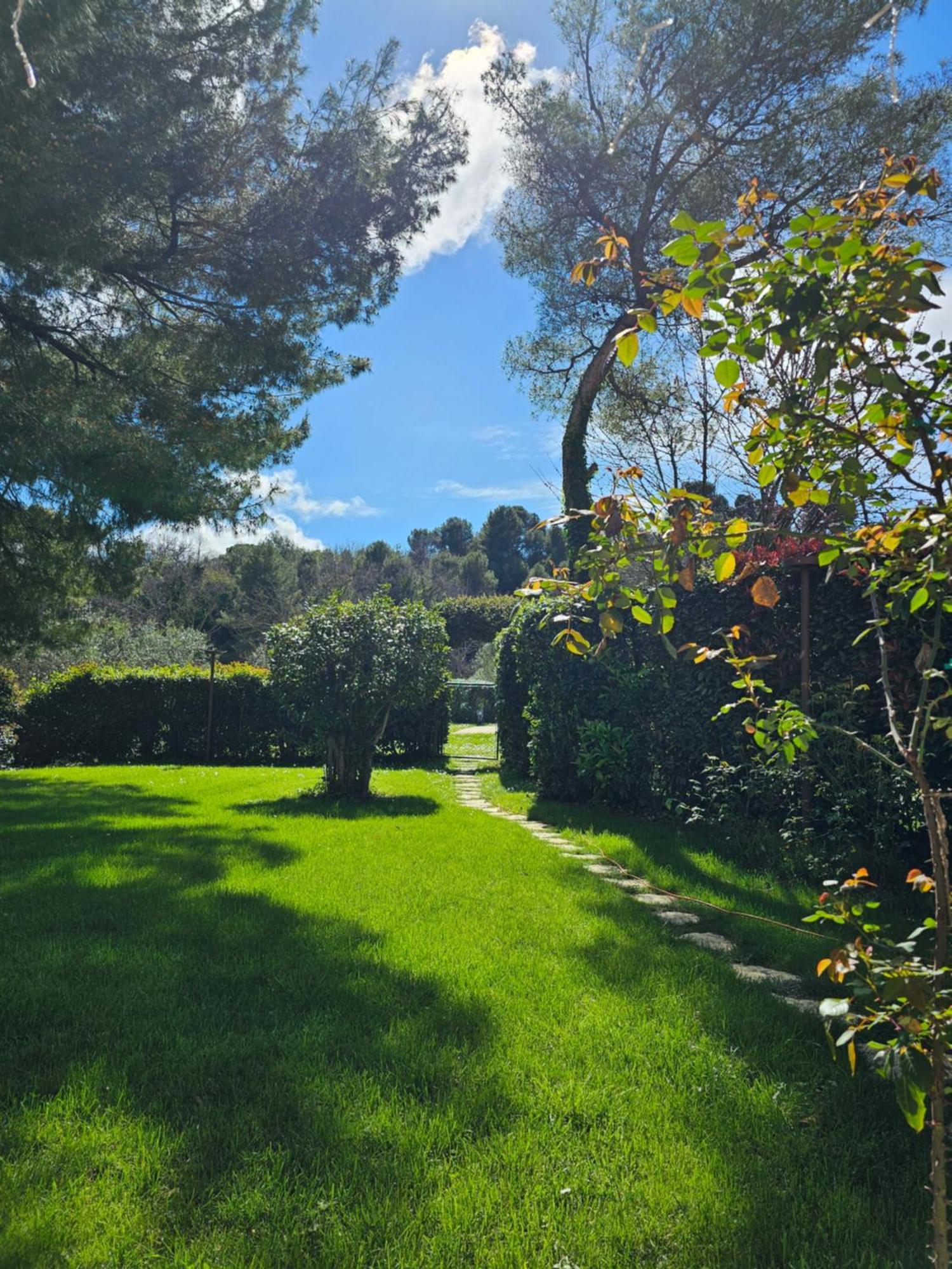 Villa Monacelli B&B Fano Eksteriør billede